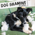 2027 Dog Shaming Square Wall Calendar