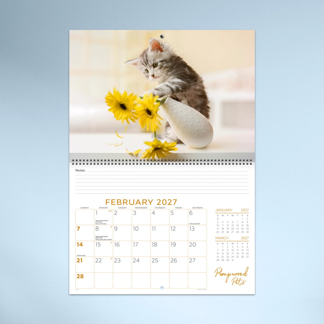 Pampurred Pets Booklet