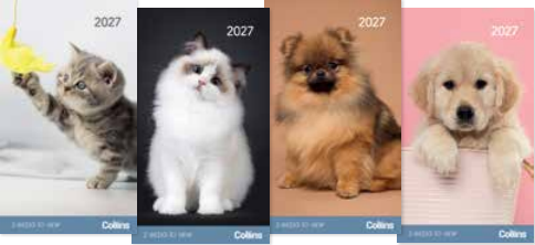 Collins Diary Rosebank Cats & Kittens 2 Weeks to View 2027