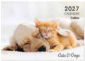 Collins Wall Calendar A4 Cats & Dogs 2027