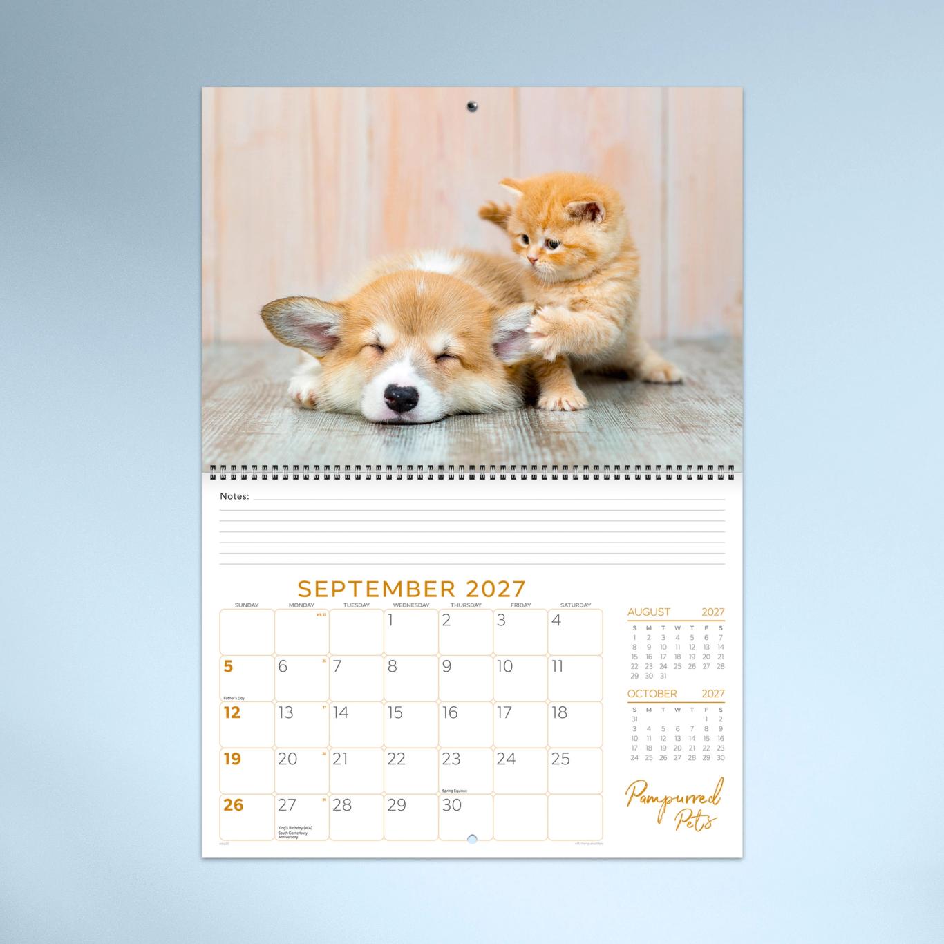 Pampurred Pets Booklet