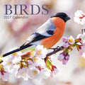 2027 Birds Square Wall Calendar