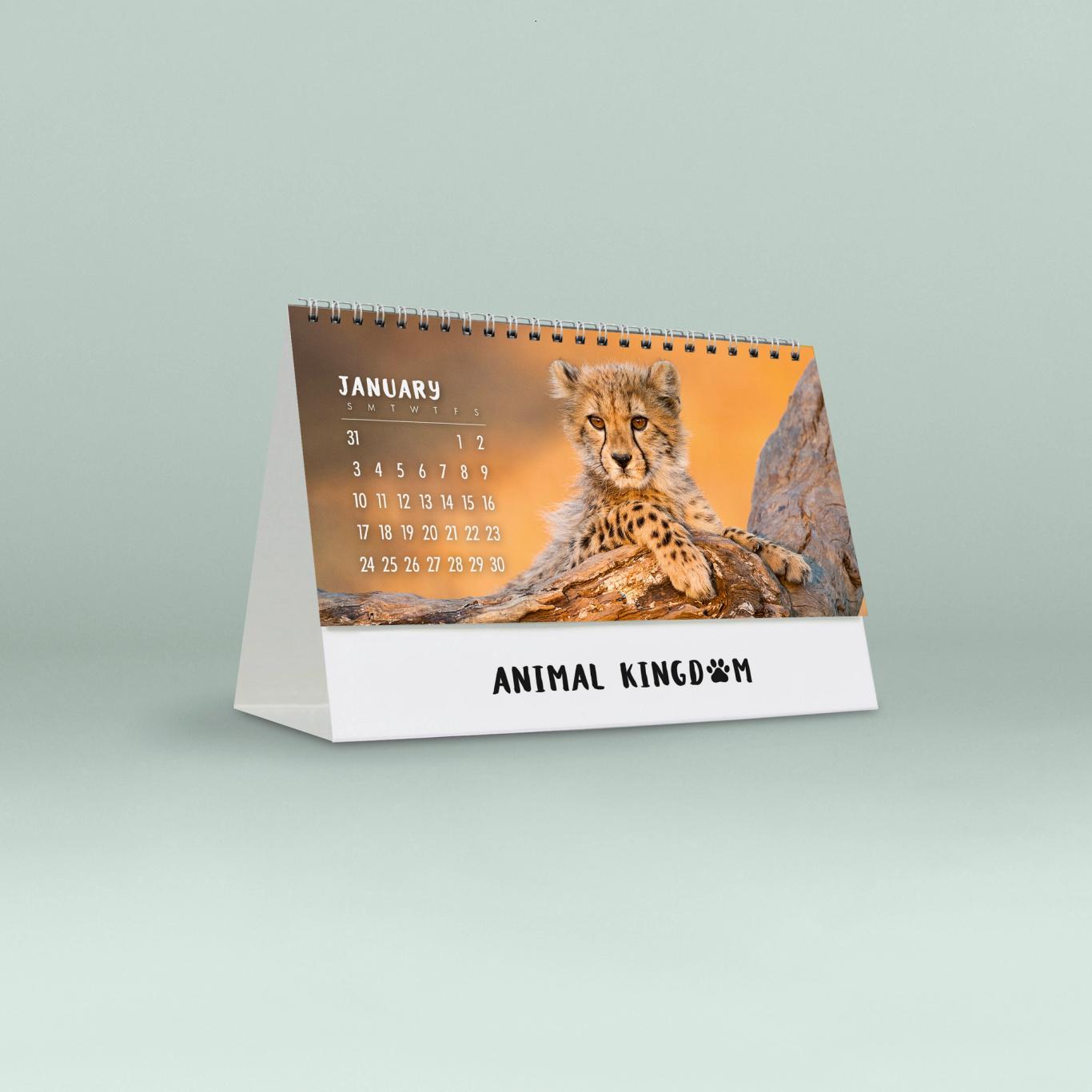 Animal Kingdom Desk Calendar