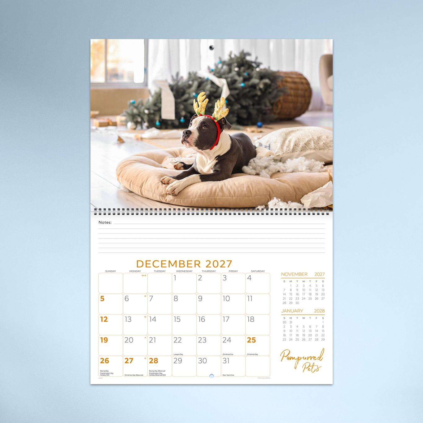 Pampurred Pets Booklet