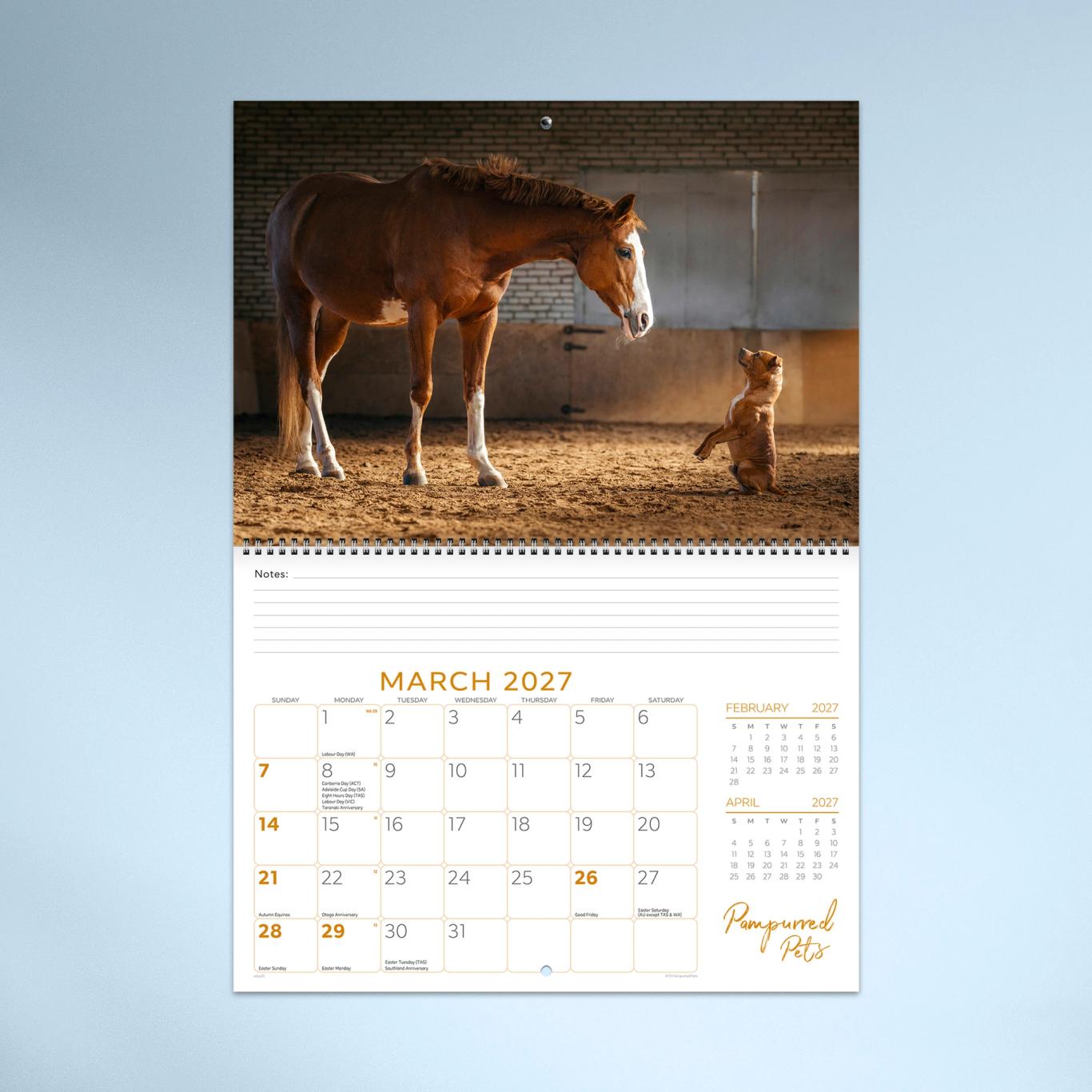 Pampurred Pets Booklet