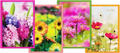Collins Diary A61 Floral 2027