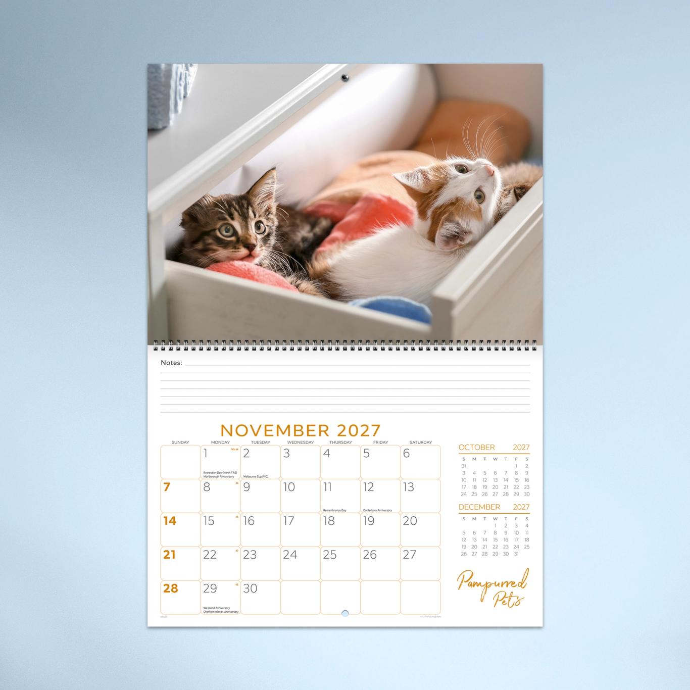 Pampurred Pets Booklet