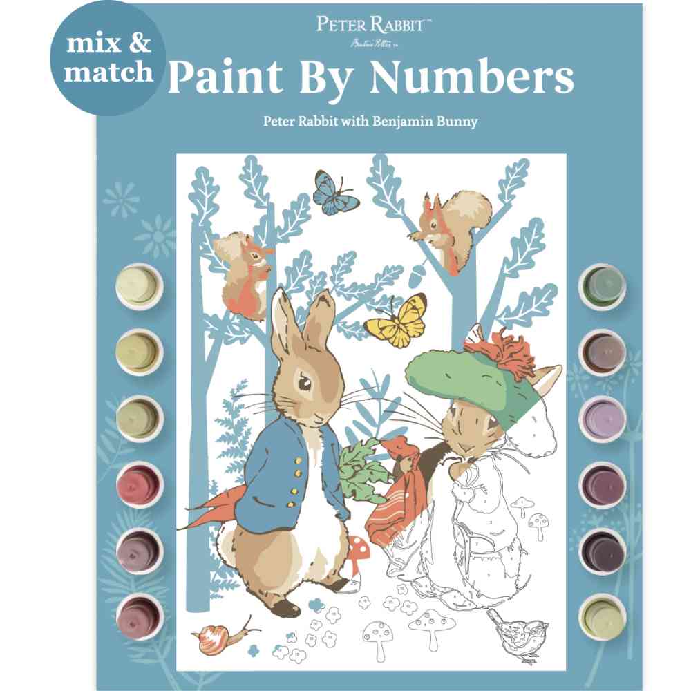 Peter Rabbit Paint By Numbers Activity Art Set