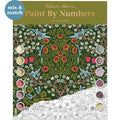 Blackthorn A3 Envelope Paint by Numbers Kit