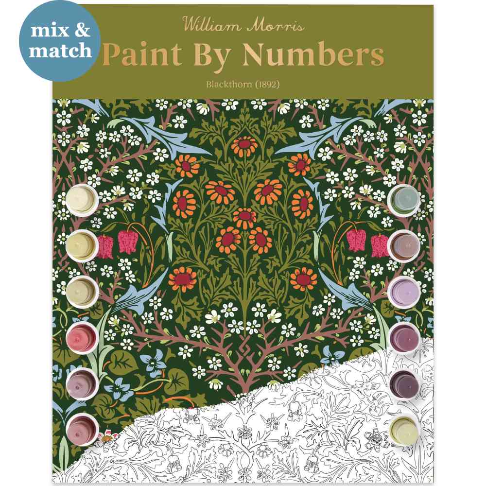 Blackthorn A3 Envelope Paint by Numbers Kit