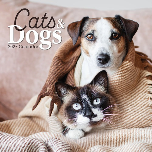 2027 Cats & Dogs Square Wall Calendar