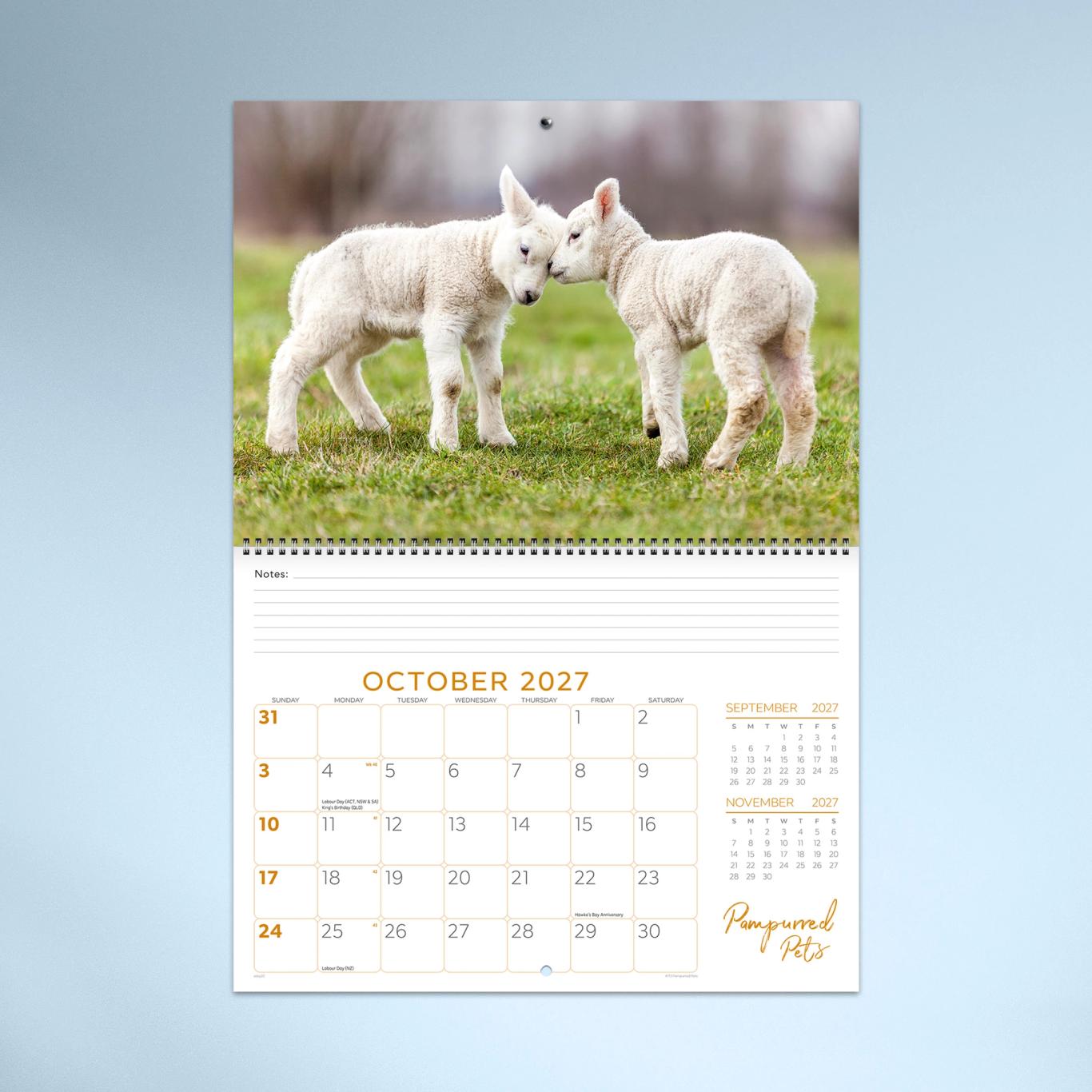 Pampurred Pets Booklet