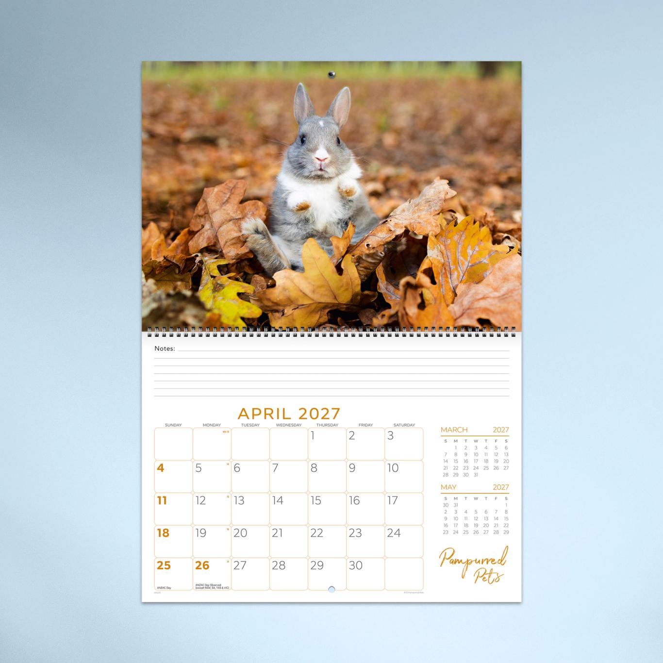 Pampurred Pets Booklet