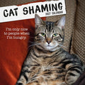 2027 Cat Shaming Square Wall Calendar