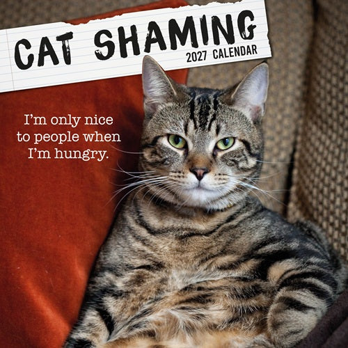 2027 Cat Shaming Square Wall Calendar