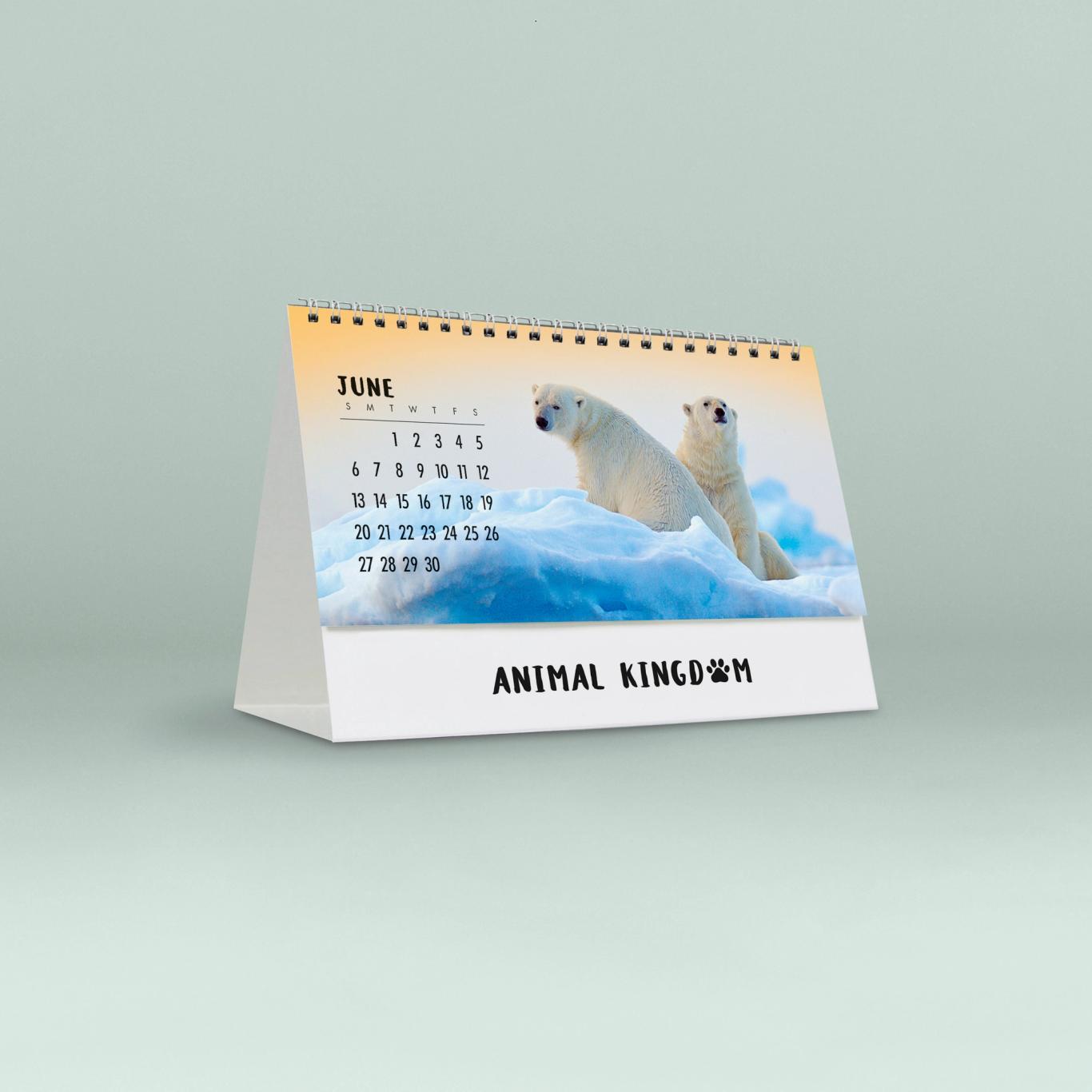 Animal Kingdom Desk Calendar