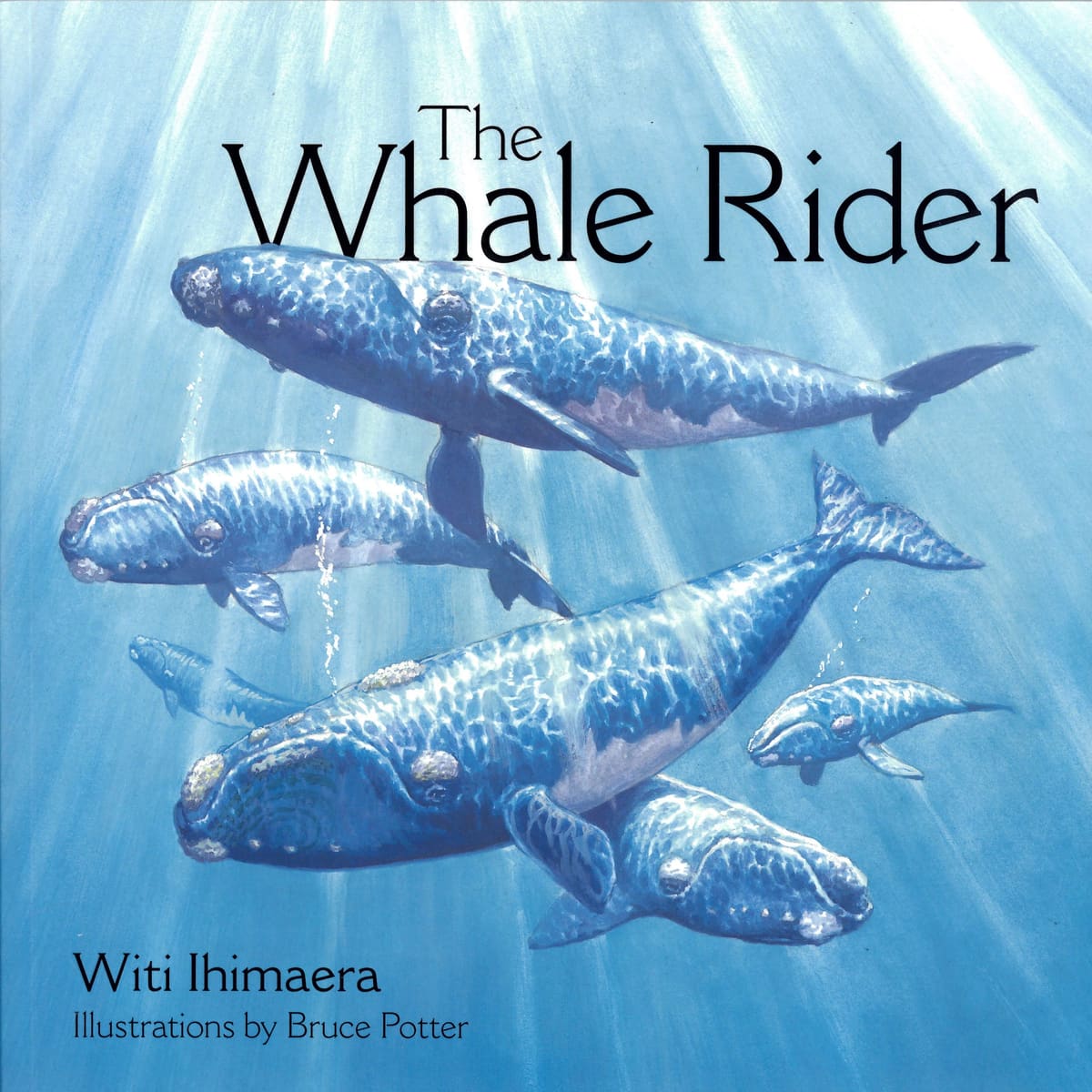 The Whale Rider by Witi Ihimaera Paperback