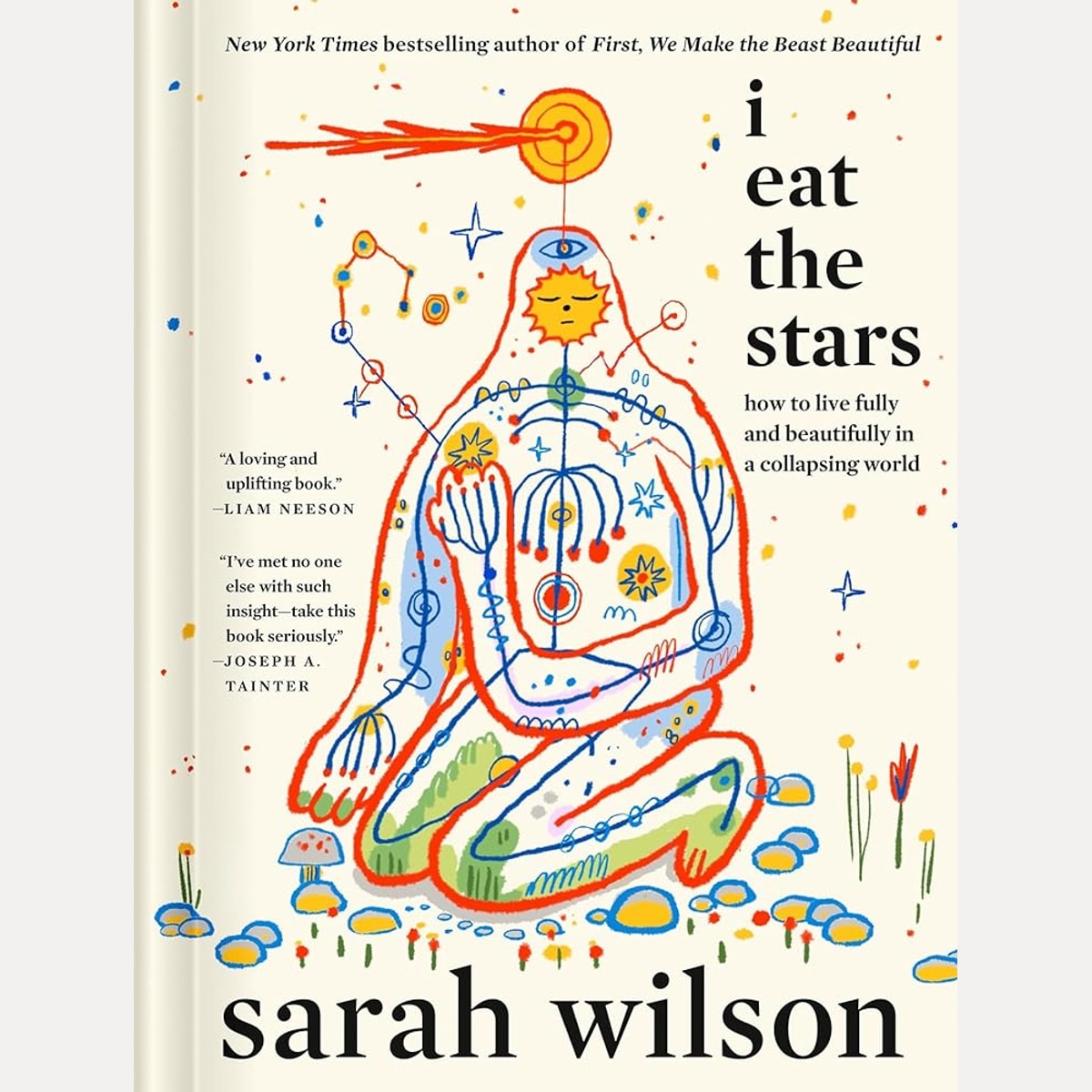 I Eat the Stars: How to Live Fully and Beautifully in a Collapsing World cover image
