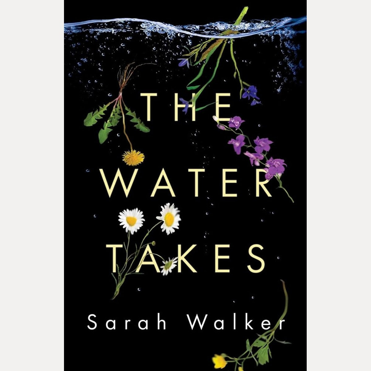 The Water Takes cover image