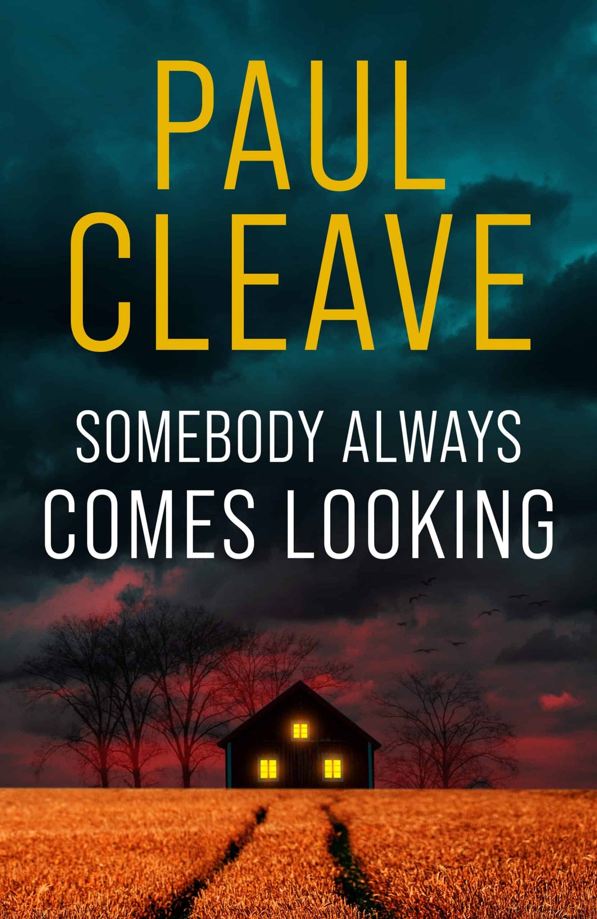 Somebody Always Comes Looking Crime Thriller Book