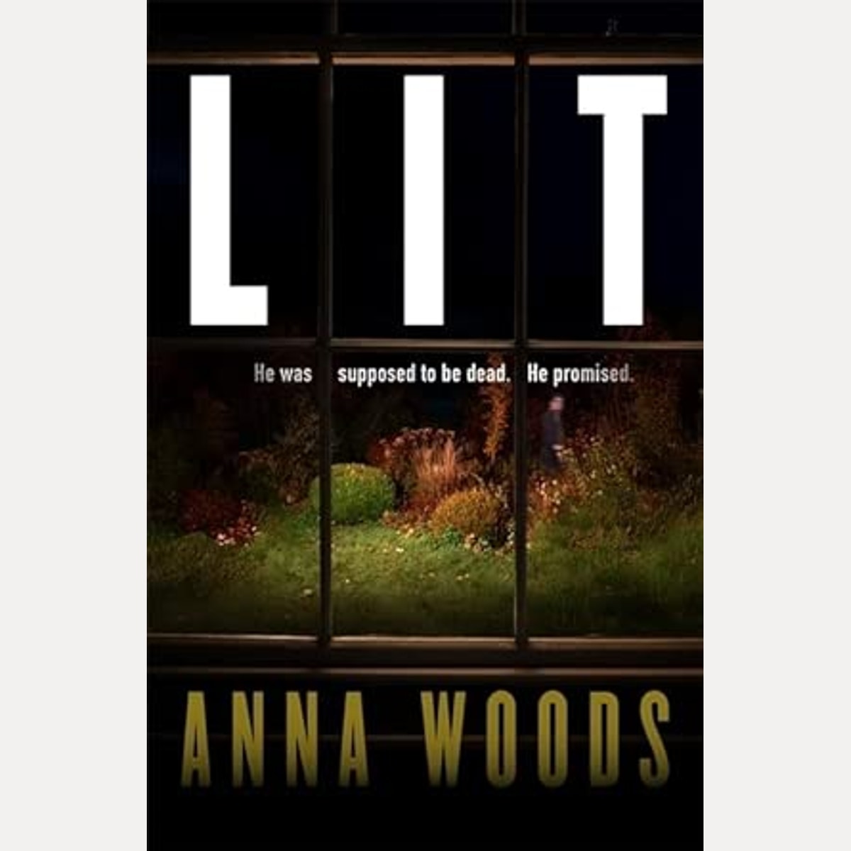 LIT: A tense, twist-driven literary thriller about love, control and the dangerous power of a secret that won’t stay hidden cover image
