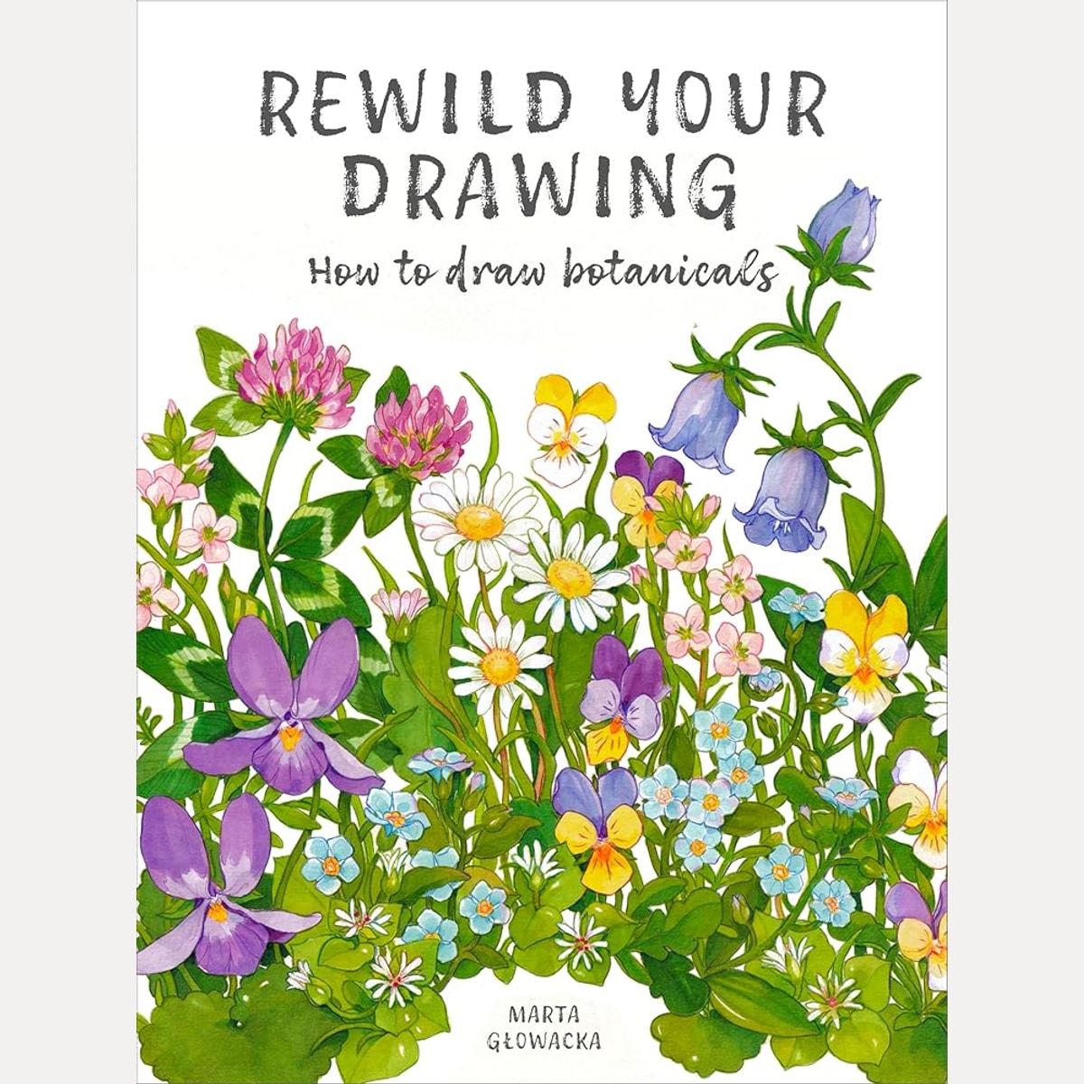 Rewild Your Drawing: How to draw botanicals cover image