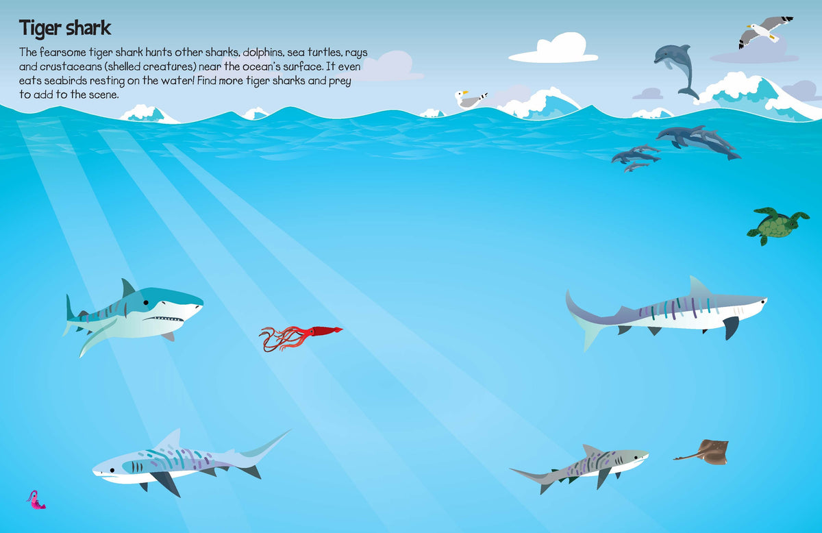 555 Sticker Fun Sharks Book