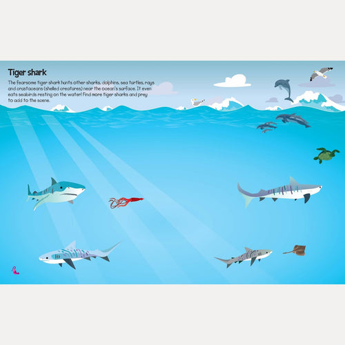 555 Sticker Fun Sharks Book