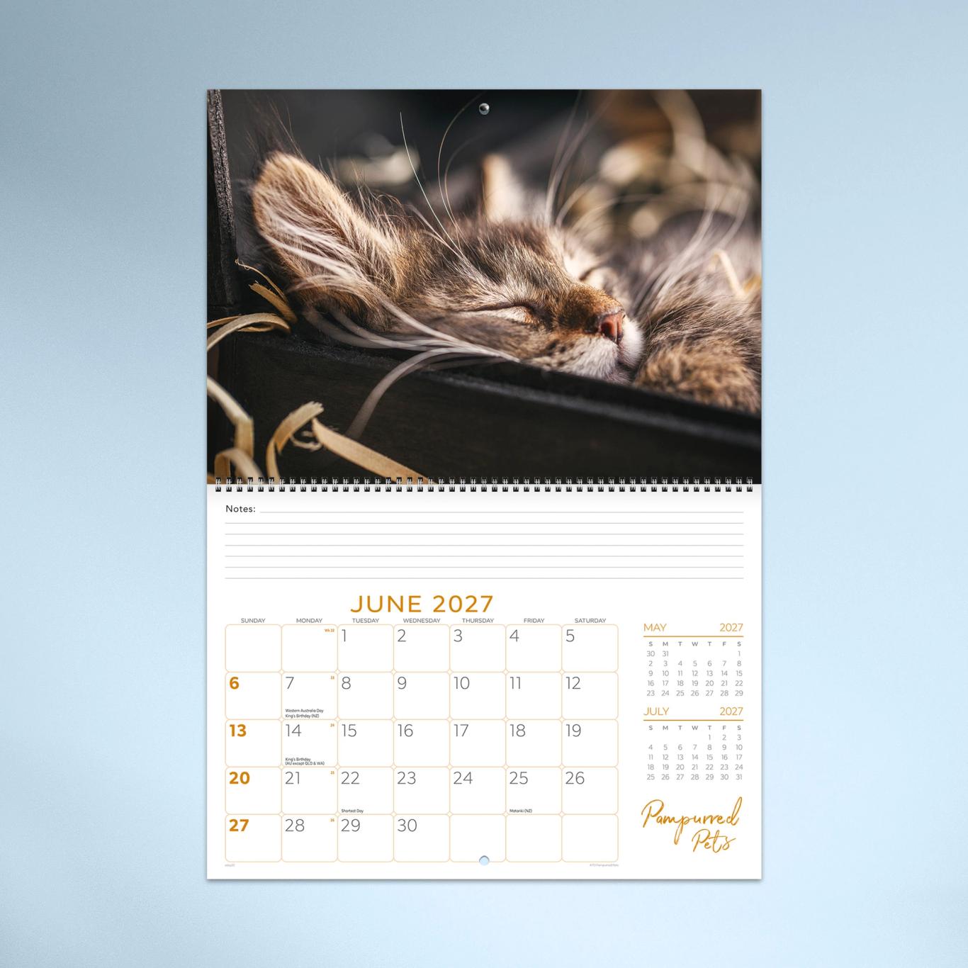 Pampurred Pets Booklet