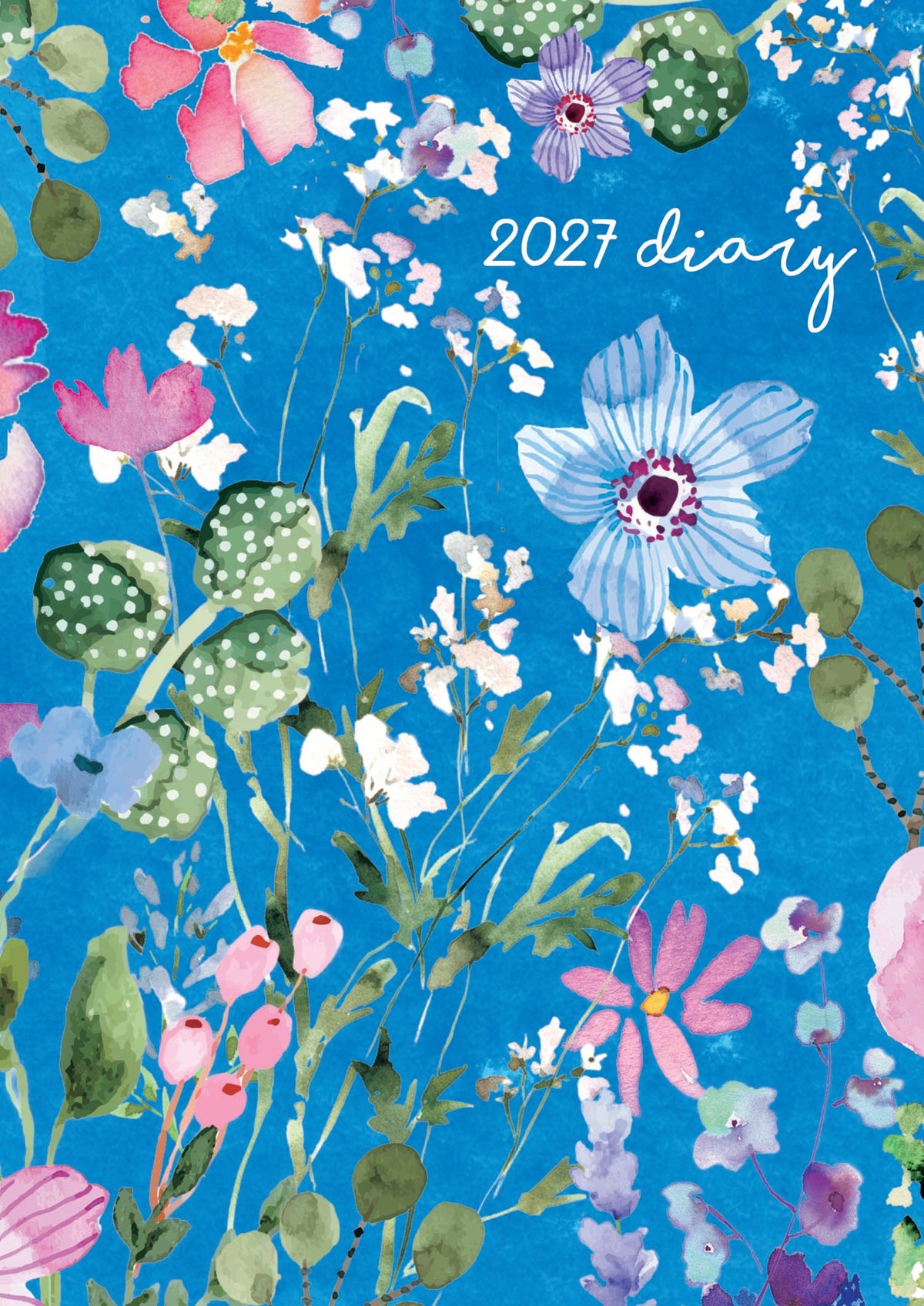 2027 Wild Cobalt A5 Weekly Diary Planner