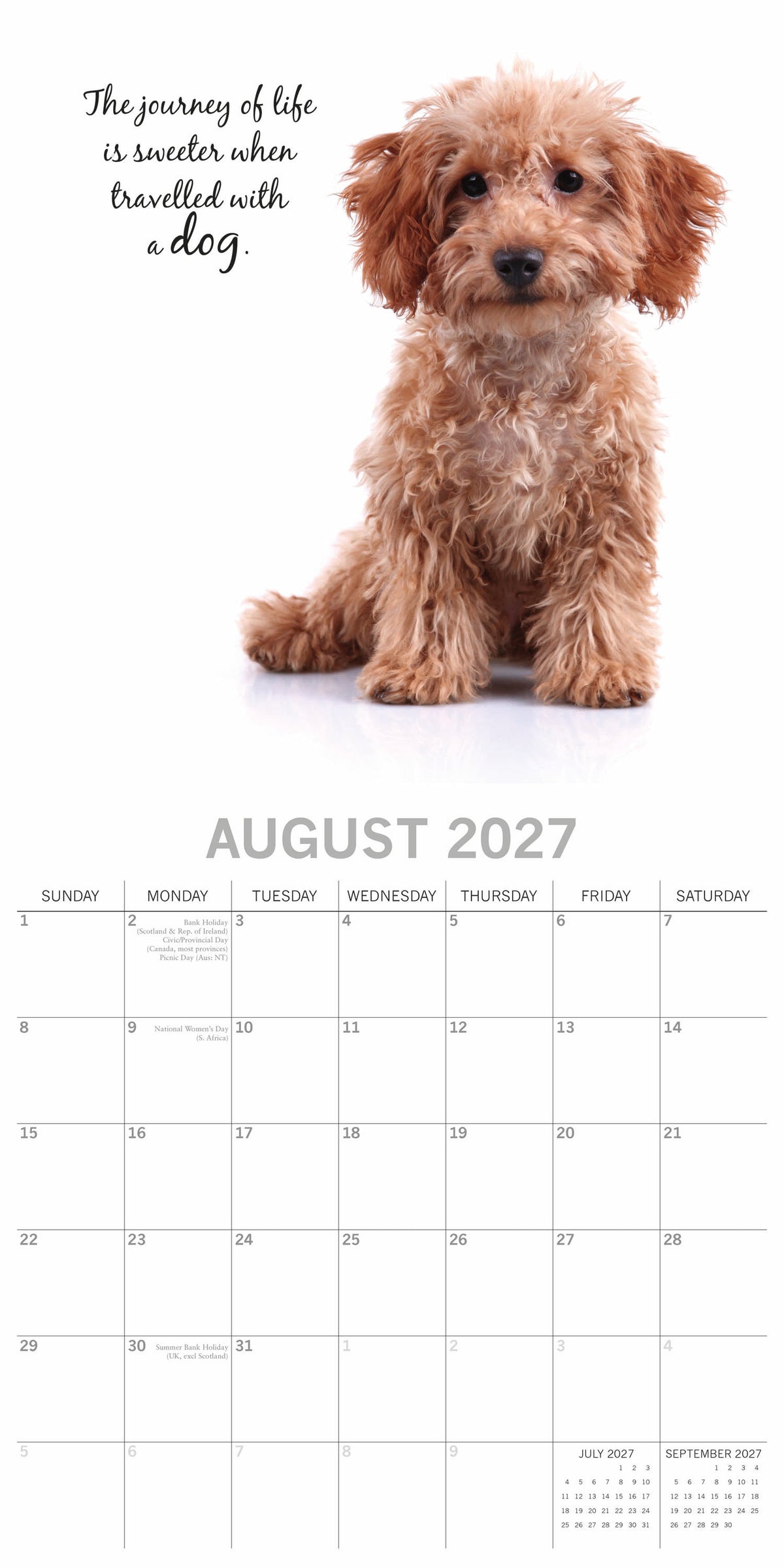 2027 Adorable Dogs Square Wall Calendar