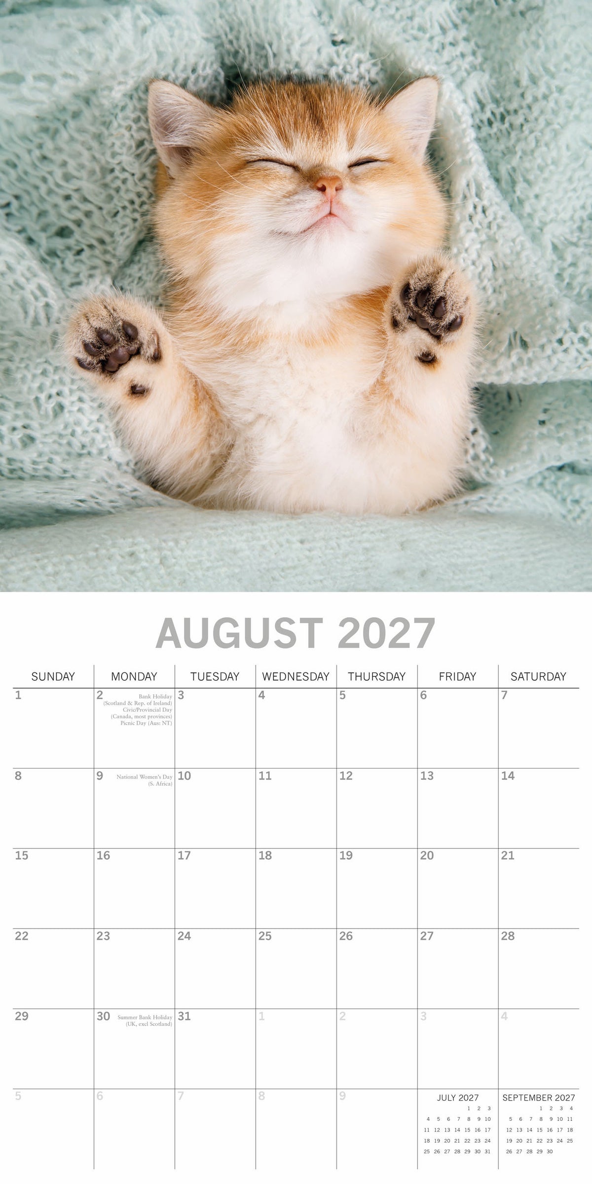 2027 Cat Naps Square Wall Calendar