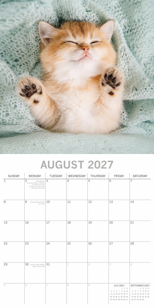 2027 Cat Naps Square Wall Calendar