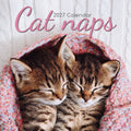 2027 Cat Naps Square Wall Calendar