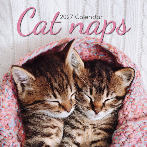 2027 Cat Naps Square Wall Calendar