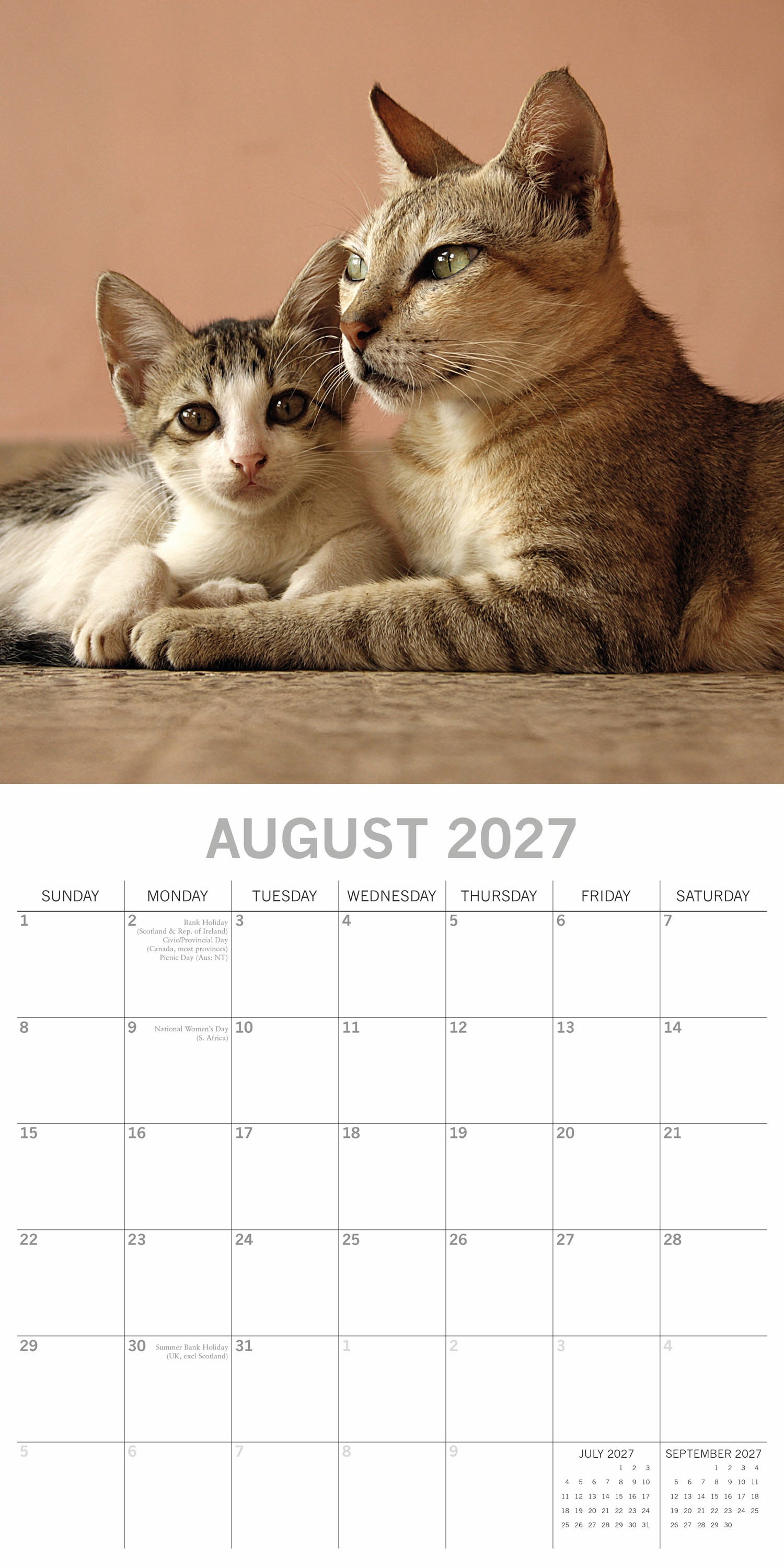 2027 Cats & Kittens Square Wall Calendar