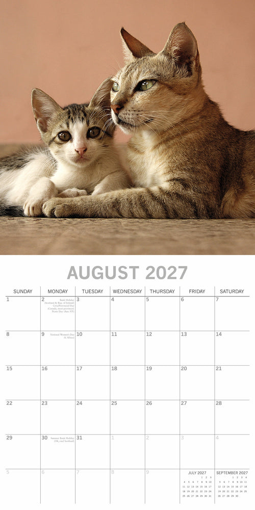 2027 Cats & Kittens Square Wall Calendar