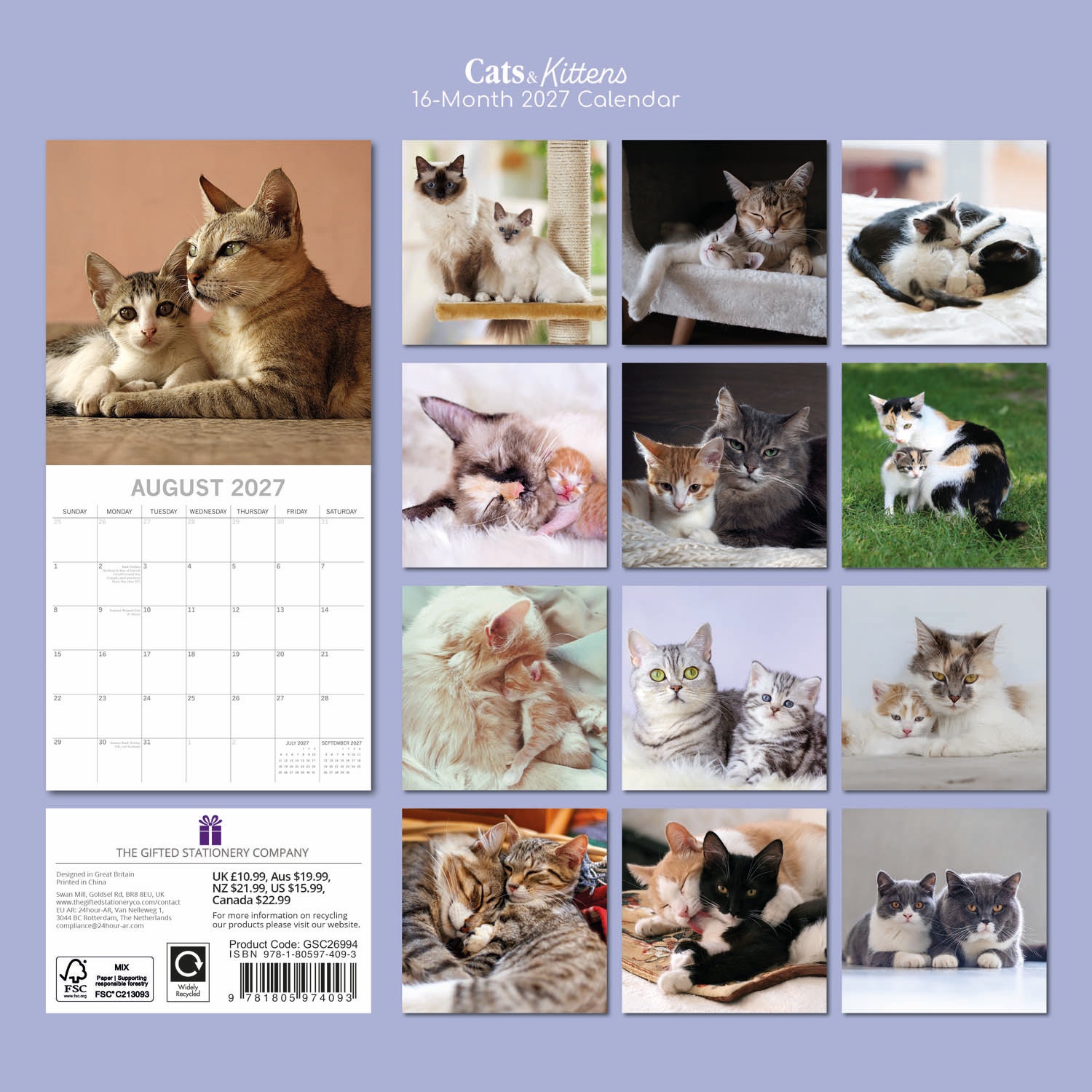 2027 Cats & Kittens Square Wall Calendar