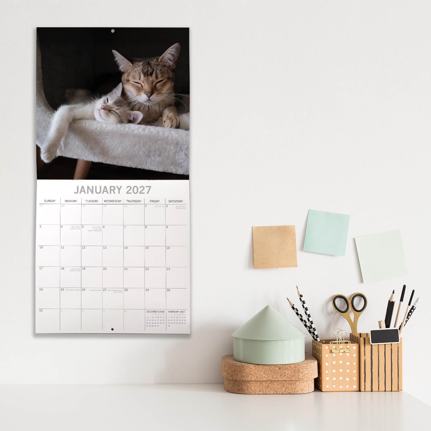 2027 Cats & Kittens Square Wall Calendar