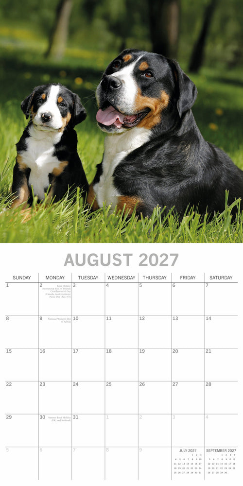 2027 Dogs & Puppies Square Wall Calendar
