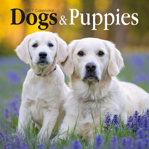 2027 Dogs & Puppies Square Wall Calendar