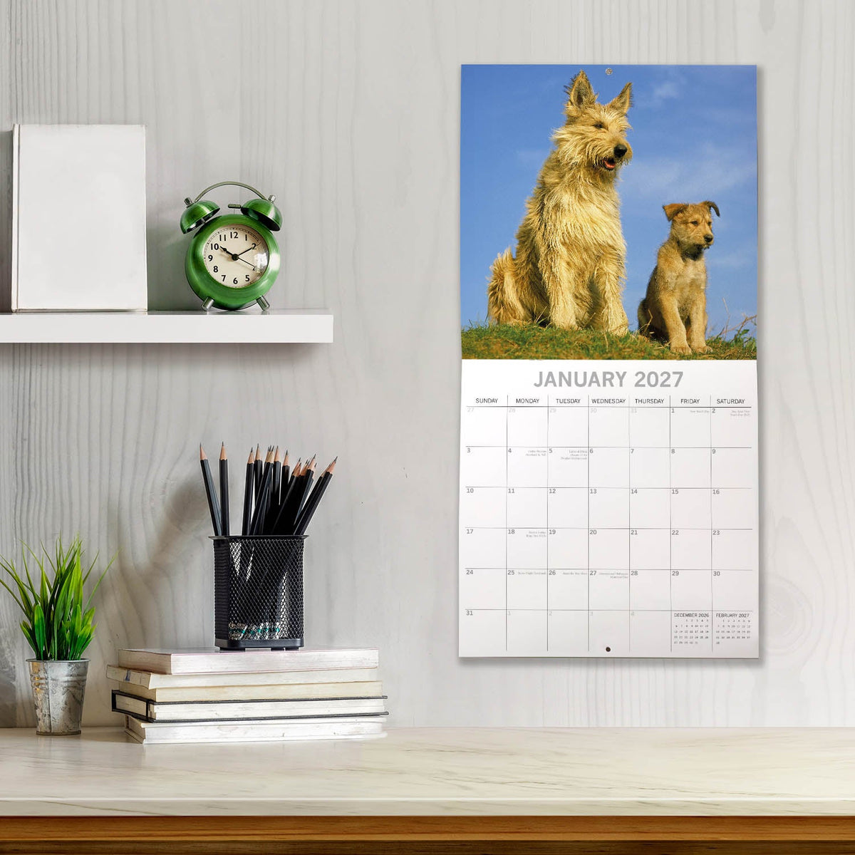 2027 Dogs & Puppies Square Wall Calendar