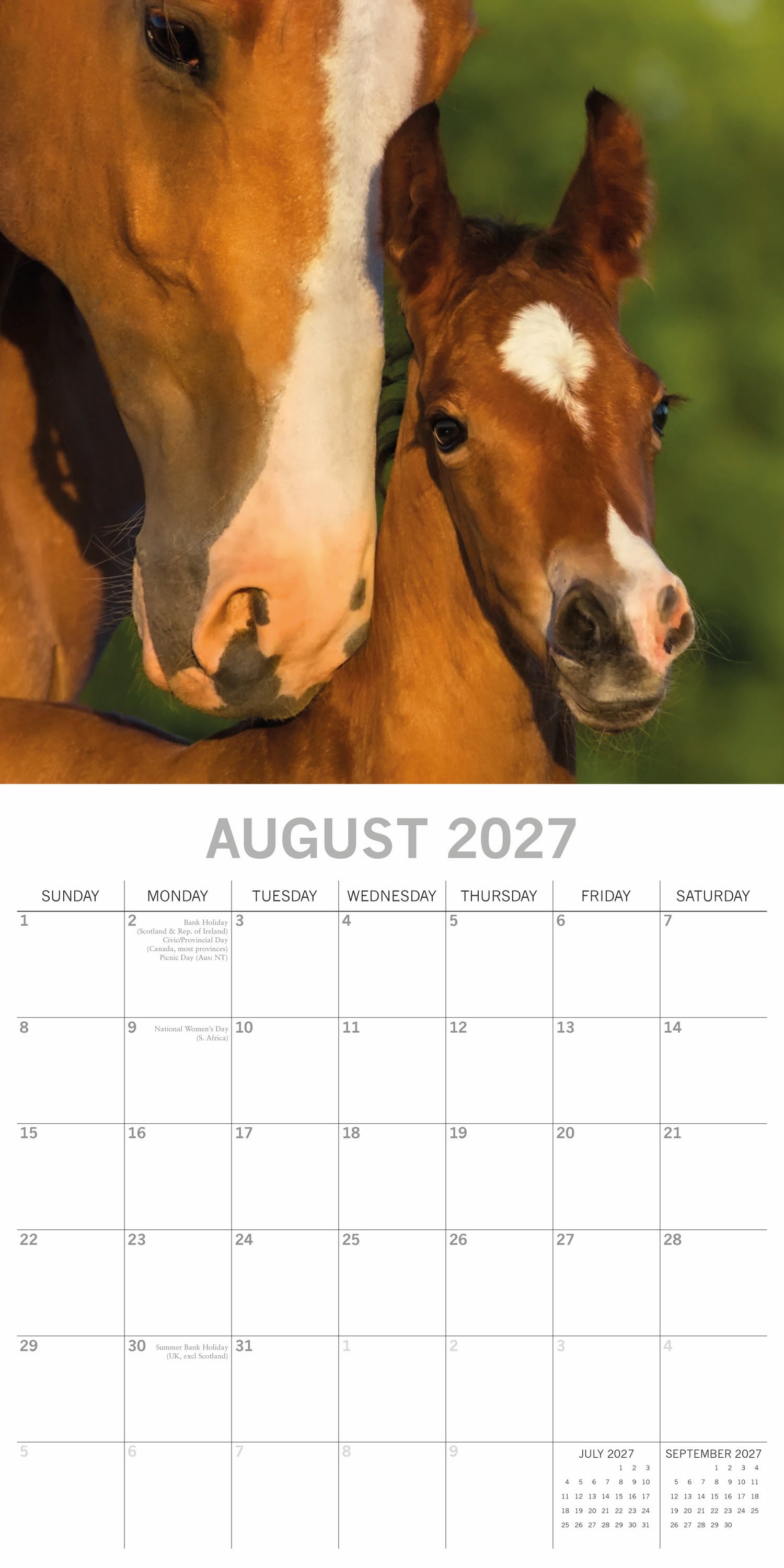 2027 Horses Square Wall Calendar
