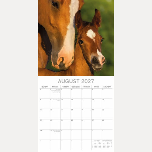 2027 Horses Square Wall Calendar