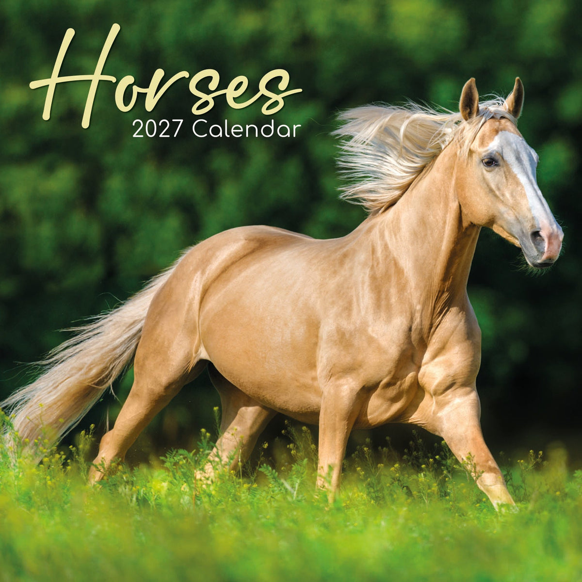 2027 Horses Square Wall Calendar