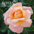 2027 Roses Square Wall Calendar