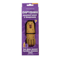 Capybara Reading Light Bookmark