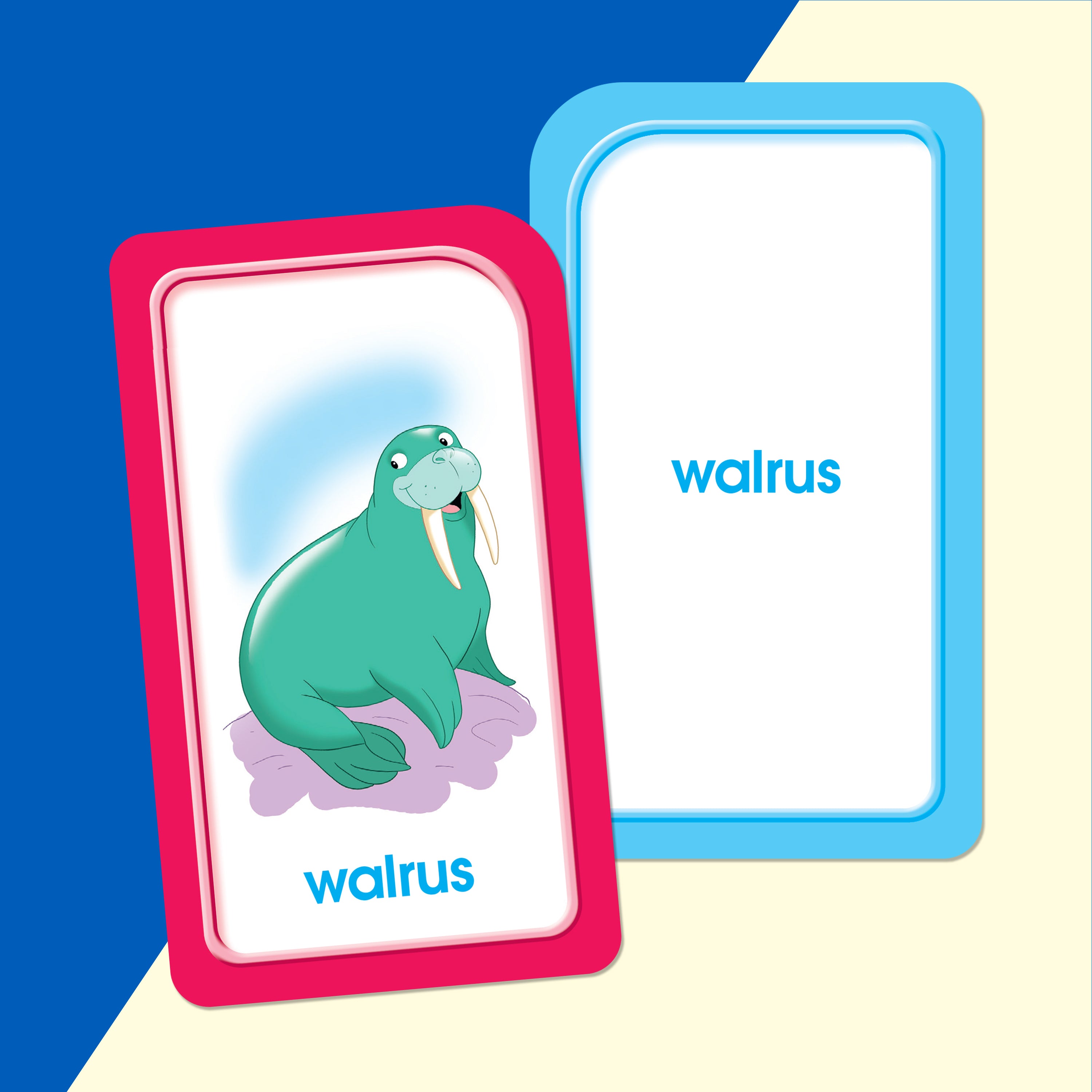 School Zone Picture Words Flash Cards Ages 4+ 56 Cards