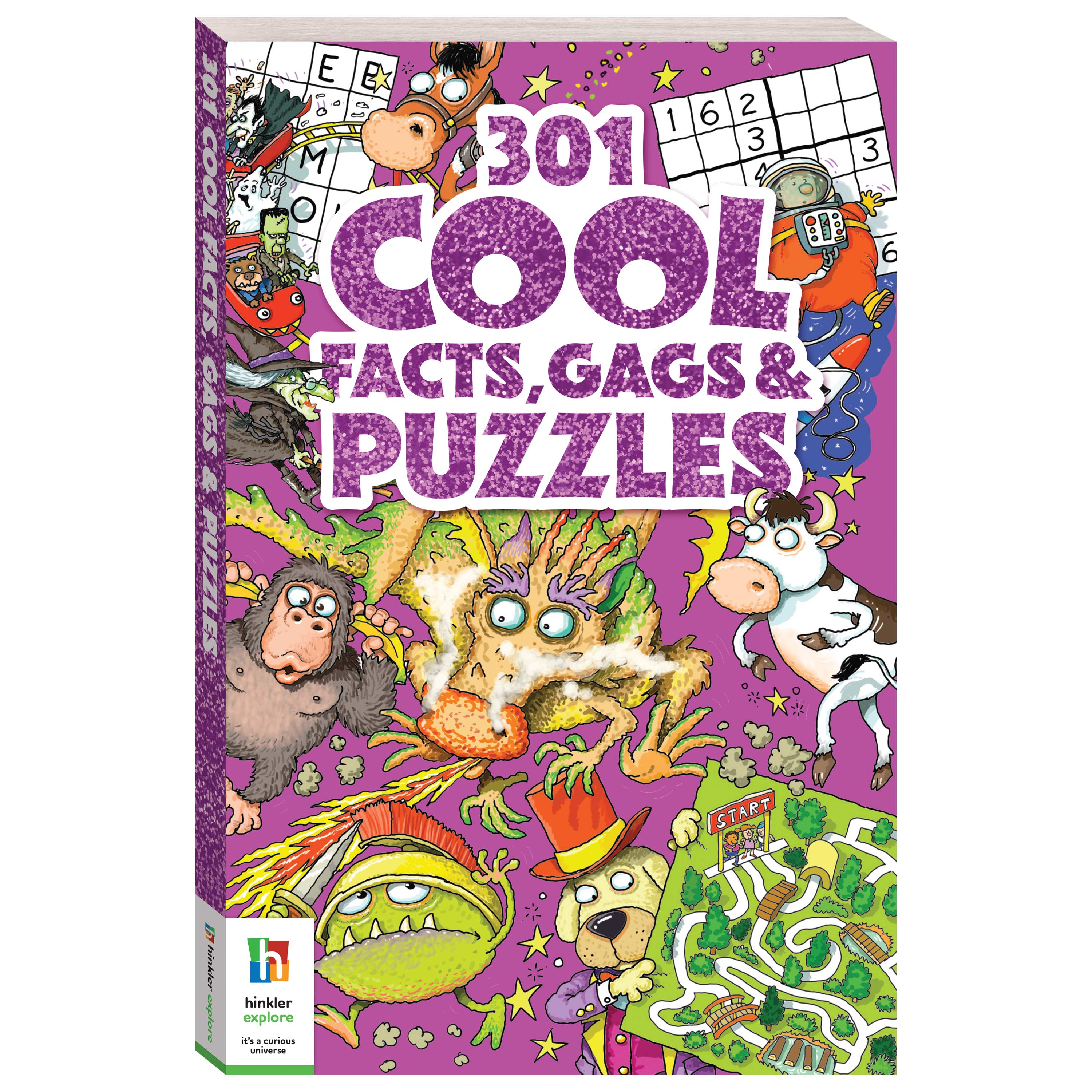 301 Cool Puzzles and Jokes Activity Book