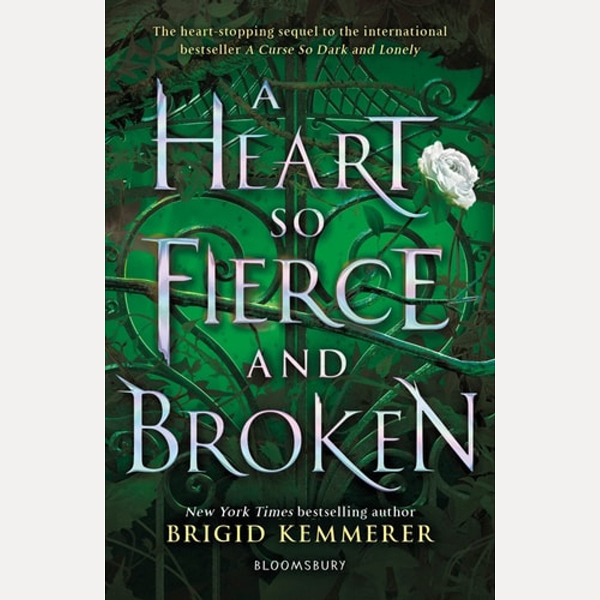 A Heart So Fierce and Broken